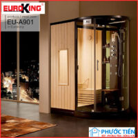 Phòng xông hơi khô và ướt  nhập khẩu Euroking EU-A901 BLACK