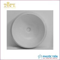 Chậu Rửa TP- GL 2901